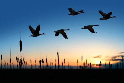 Reunite the Fight helps Vets fight PTSD with hunting trips